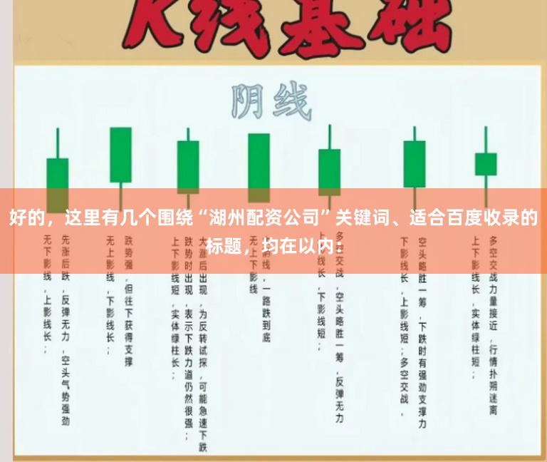 好的，这里有几个围绕“湖州配资公司”关键词、适合百度收录的标题，均在以内：